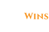 Lion Wins Casino Logo