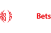 SpiderBets Casino Logo