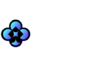 WhalePlay Casino Logo