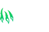 Wild.io Casino