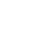 Wild Dice Casino Logo