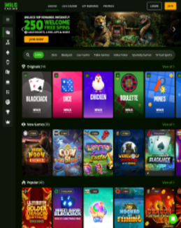 Wild Casino Screenshot