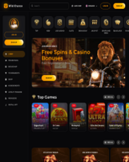 Wild Chance Casino Screenshot