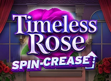 Timeless Rose