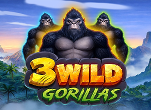 3 Wild Gorillas