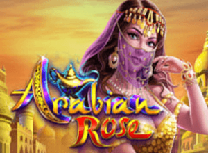 Ainsworth Arabian Rose