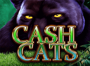 Cash Cats