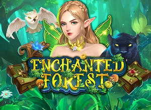 Enchanted Forest