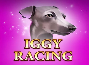 Iggy Racing