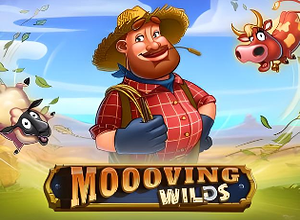 Moooving Wilds