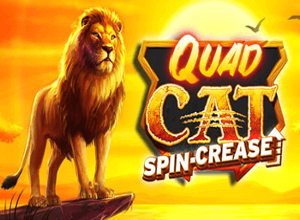 Quad Cat