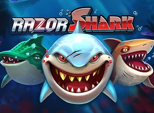 Razor Shark
