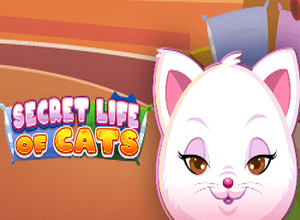 Secret Life of Cats