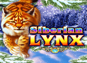 Siberian Lynx