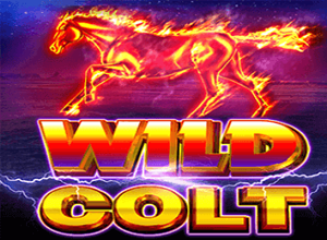 Wild Colt