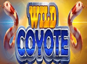 Wild Coyote