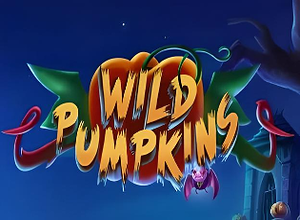 Wild Pumpkins