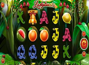 Ladybucks
