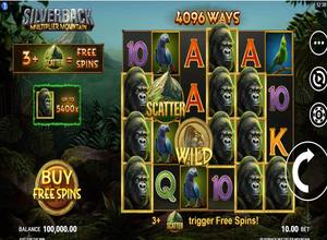 Silverback Multiplier Mountain
