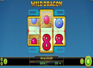 Wild Dragon Golden Hero