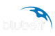 Bluberi Gaming Logo